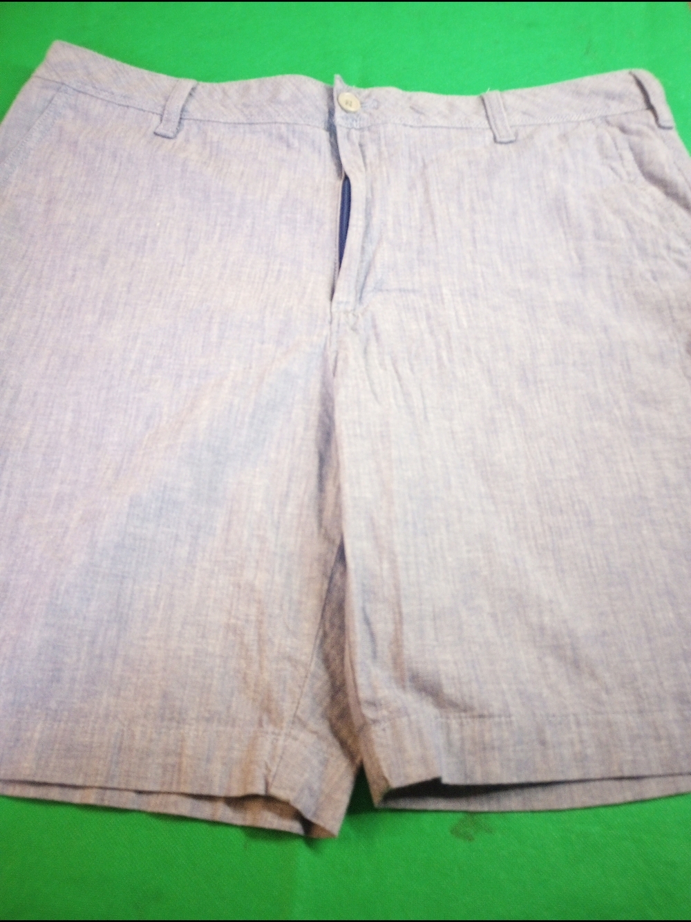 Izod Saltwater Classic Men's Light Blue Linen-Blend Shorts Size 36
